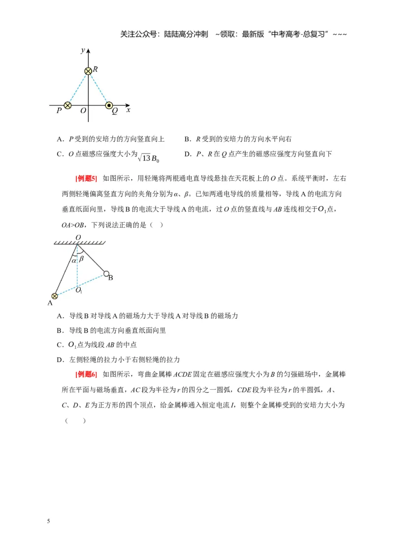 《第21讲磁场的描述磁场对电流的作用（学生版）_04-物理-高考总复习_一轮复习_2026年-物理高考一轮复习_2026年高考物理一轮复习考点精讲精练（全国通用）-G346_资料_2026版》第5页预览