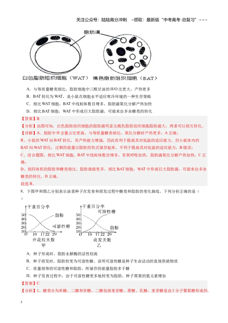 《第03讲糖类和脂质（专项训练）（安徽专用）（教师版）_06-生物-高考总复习_一轮复习_2026年-生物高考一轮复习_2026年高考生物一轮课件+讲义+练习（安徽专用）-G326》第5页预览