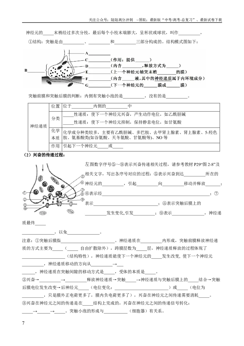 《第2章神经调节（填空版）_06-生物-高考总复习_专项复习_2024年_2024年高考生物必背知识清单（人教版2019）_资料_选择性必修1》第7页预览