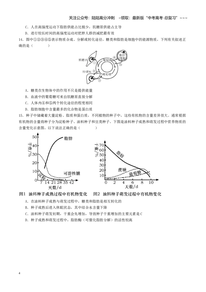 《第03讲糖类和脂质（专项训练）（学生版）_06-生物-高考总复习_一轮复习_2026年-生物高考一轮复习_2026年高考生物一轮复习讲义+练习+课件（新教材新高考）-G55_2026版》第4页预览