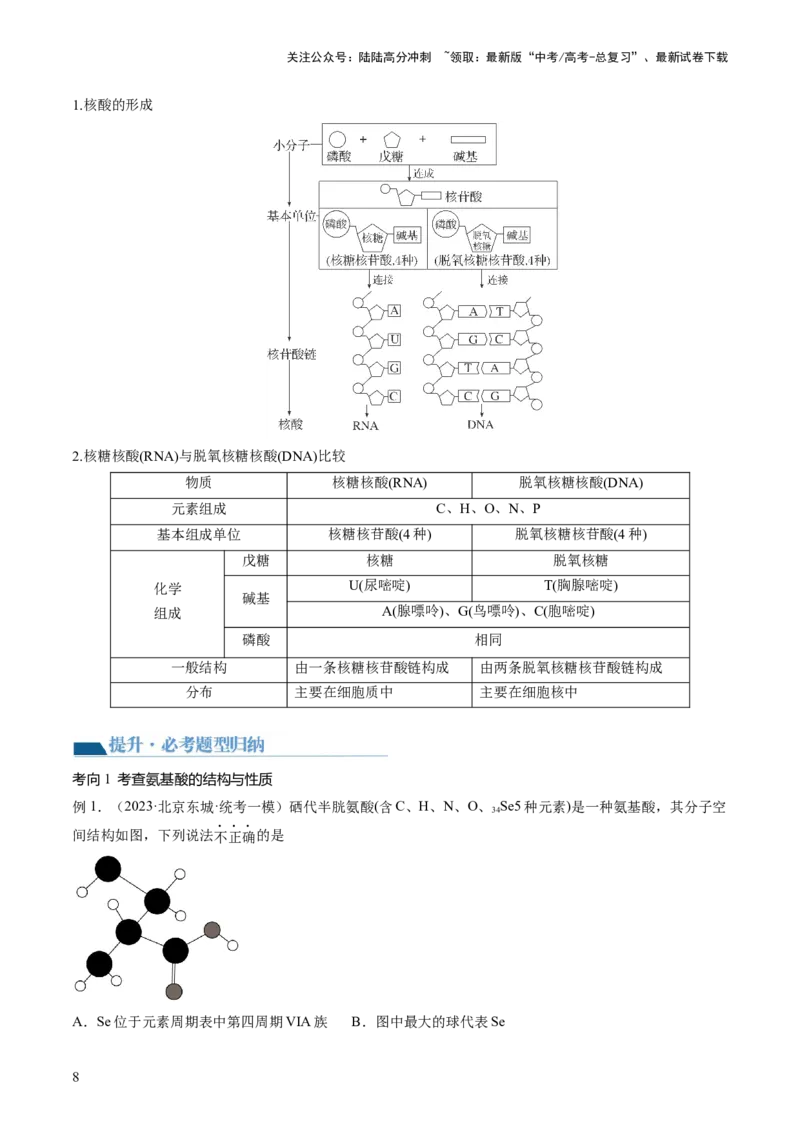 《第40讲生物大分子合成高分子（讲义）（解析版）_05-化学-高考总复习_一轮复习_2024年_2024年高考化学一轮复习讲练测(课件+讲义+练习)（新高考）_讲义+练习》第8页预览