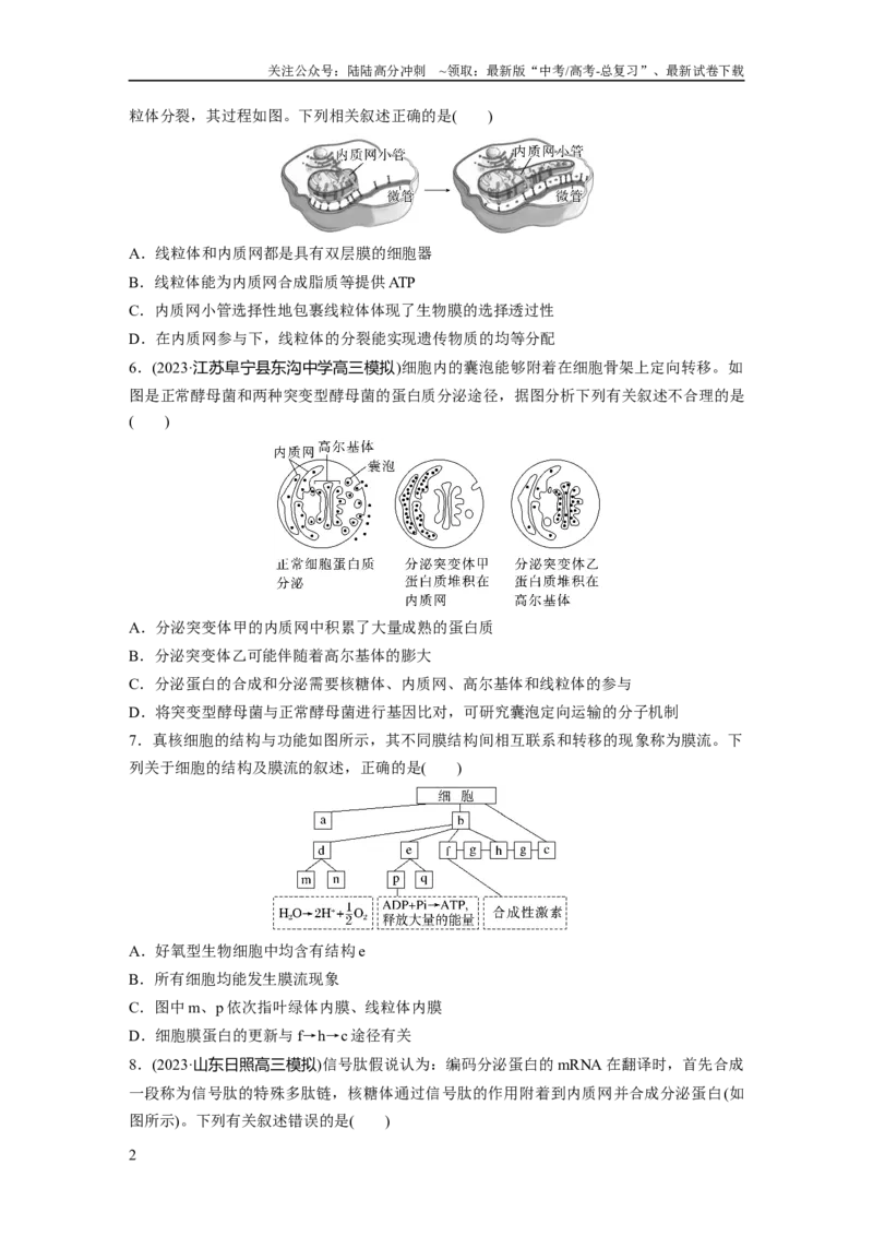 《第2单元　课时练2　细胞器之间的分工合作_06-生物-高考总复习_一轮复习_2024年_2024高考生物大一轮复习课件讲义新人教版知识总结_2024年高考生物一轮复习讲义（新人教版）_一轮复习69练》第2页预览