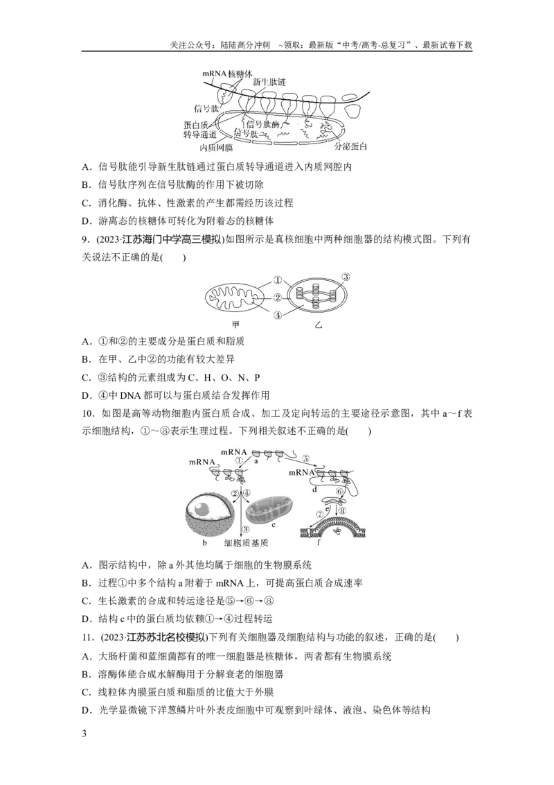 《第2单元　课时练2　细胞器之间的分工合作_06-生物-高考总复习_一轮复习_2024年_2024高考生物大一轮复习课件讲义新人教版知识总结_2024年高考生物一轮复习讲义（新人教版）_一轮复习69练》第3页预览