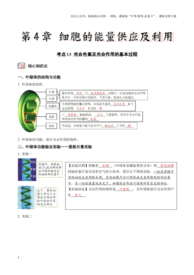 《考点13&考点14光合色素及光合作用的基本过程光合作用的影响因素及应用（讲义）（解析版）_06-生物-高考总复习_一轮复习_2024年_2023-2024学年高三生物一轮复习_资料》第1页预览