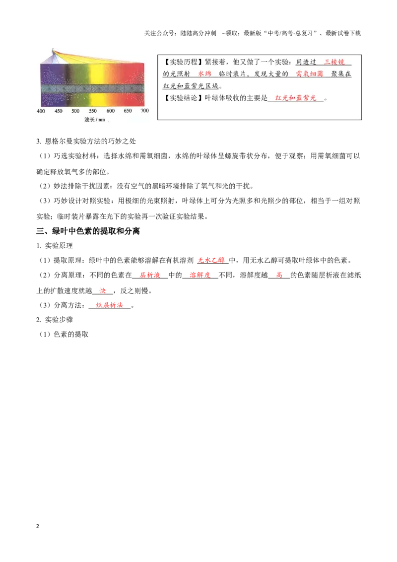 《考点13&考点14光合色素及光合作用的基本过程光合作用的影响因素及应用（讲义）（解析版）_06-生物-高考总复习_一轮复习_2024年_2023-2024学年高三生物一轮复习_资料》第2页预览