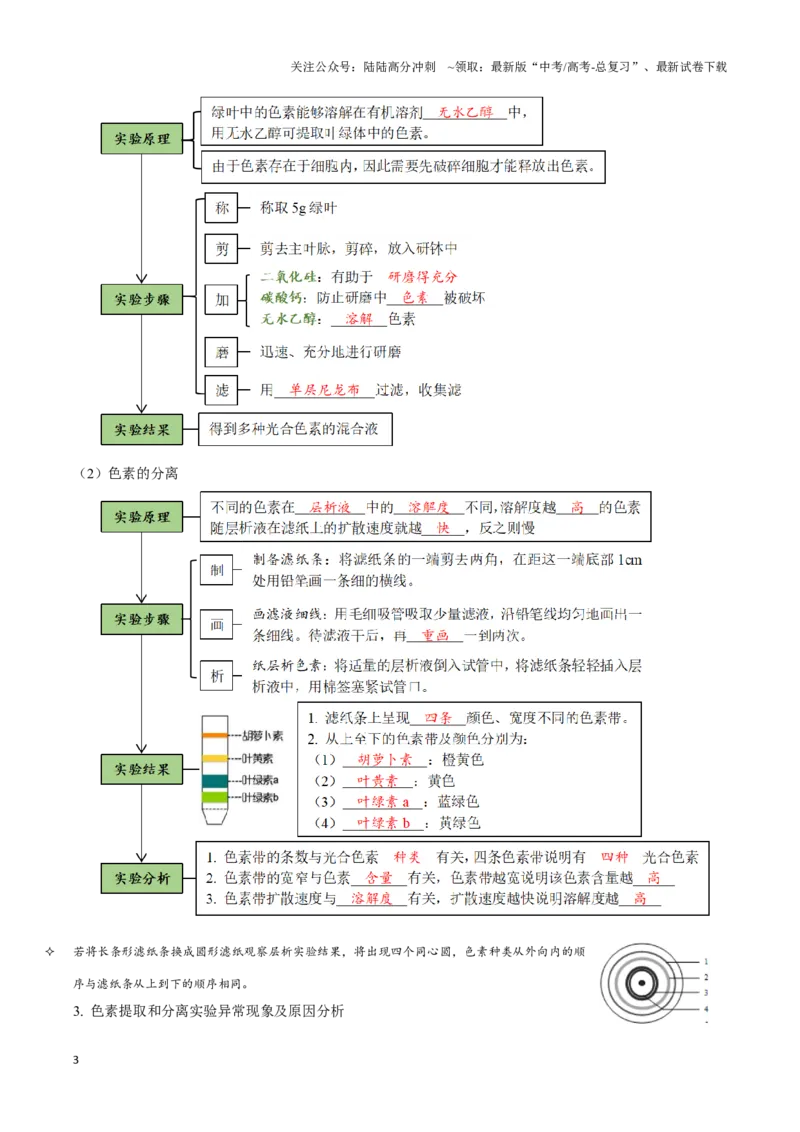 《考点13&考点14光合色素及光合作用的基本过程光合作用的影响因素及应用（讲义）（解析版）_06-生物-高考总复习_一轮复习_2024年_2023-2024学年高三生物一轮复习_资料》第3页预览