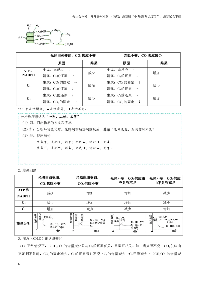 《考点13&考点14光合色素及光合作用的基本过程光合作用的影响因素及应用（讲义）（解析版）_06-生物-高考总复习_一轮复习_2024年_2023-2024学年高三生物一轮复习_资料》第6页预览