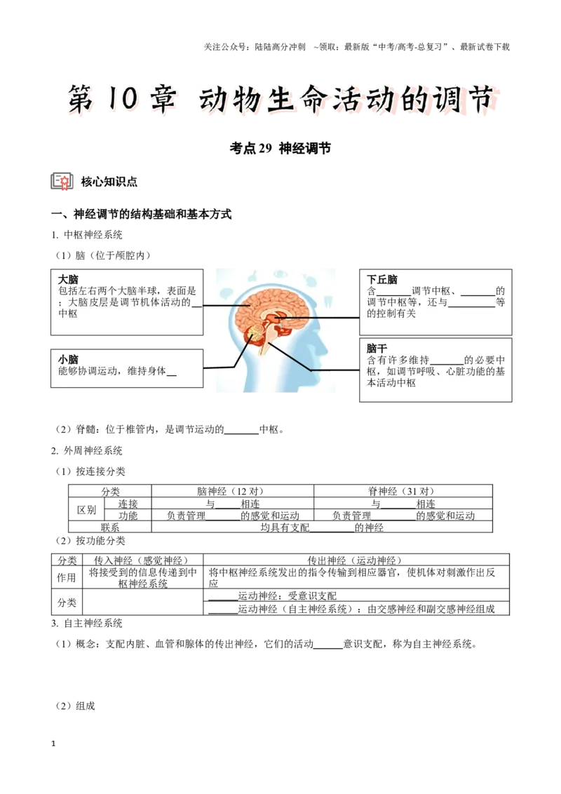 《考点29神经调节（讲义）（原卷版）_06-生物-高考总复习_一轮复习_2024年_2023-2024学年高三生物一轮复习_资料》第1页预览