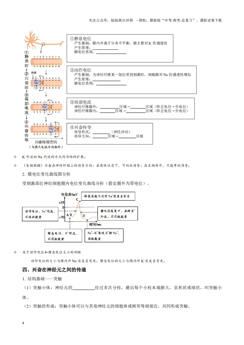 《考点29神经调节（讲义）（原卷版）_06-生物-高考总复习_一轮复习_2024年_2023-2024学年高三生物一轮复习_资料》第4页预览