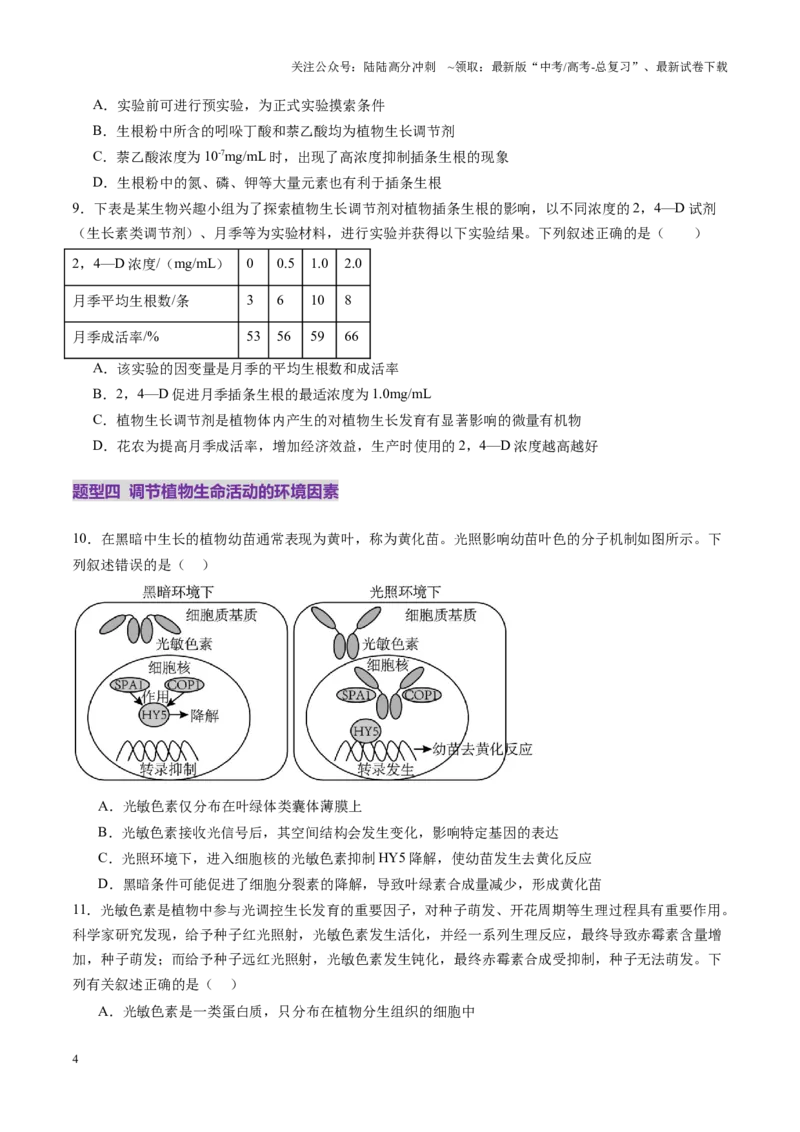 《第31讲植物生命活动调节（第二课时，其他植物激素、植物生长调节剂及环境因素参与调节植物的生命活动）（练习）（学生版）_06-生物-高考总复习_一轮复习_2025年_资料》第4页预览