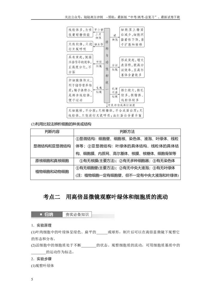 《第2单元　第2课时　细胞器之间的分工合作_06-生物-高考总复习_一轮复习_2024年_2024高考生物大一轮复习课件讲义新人教版知识总结_2024年高考生物一轮复习讲义（新人教版）_大一轮复习讲义》第5页预览