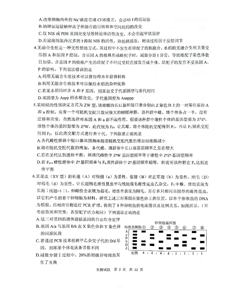 《13_2024山东省实验中学二模（试卷+答案）_2025版教学资源包_（总复习系列）2025版《5年高考3年模拟》新高考版B版（⭐全科）_2025版.新高考新教材版.选考总复习.生物.5·3B版_1_资源拓展》第2页预览