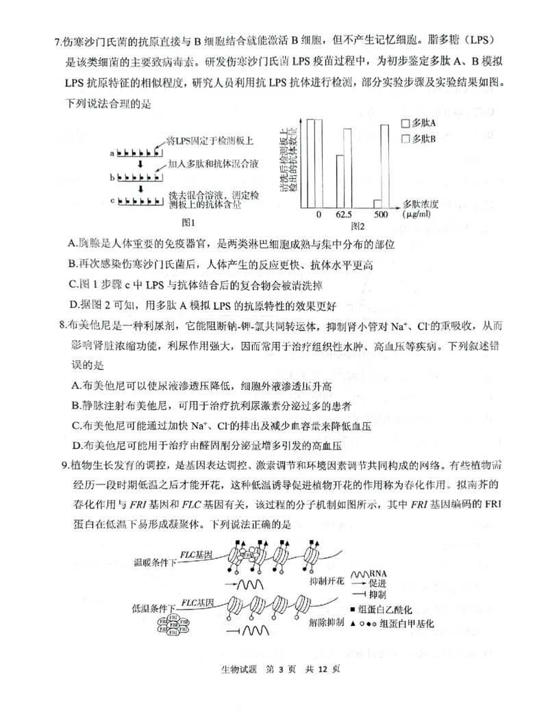 《13_2024山东省实验中学二模（试卷+答案）_2025版教学资源包_（总复习系列）2025版《5年高考3年模拟》新高考版B版（⭐全科）_2025版.新高考新教材版.选考总复习.生物.5·3B版_1_资源拓展》第3页预览