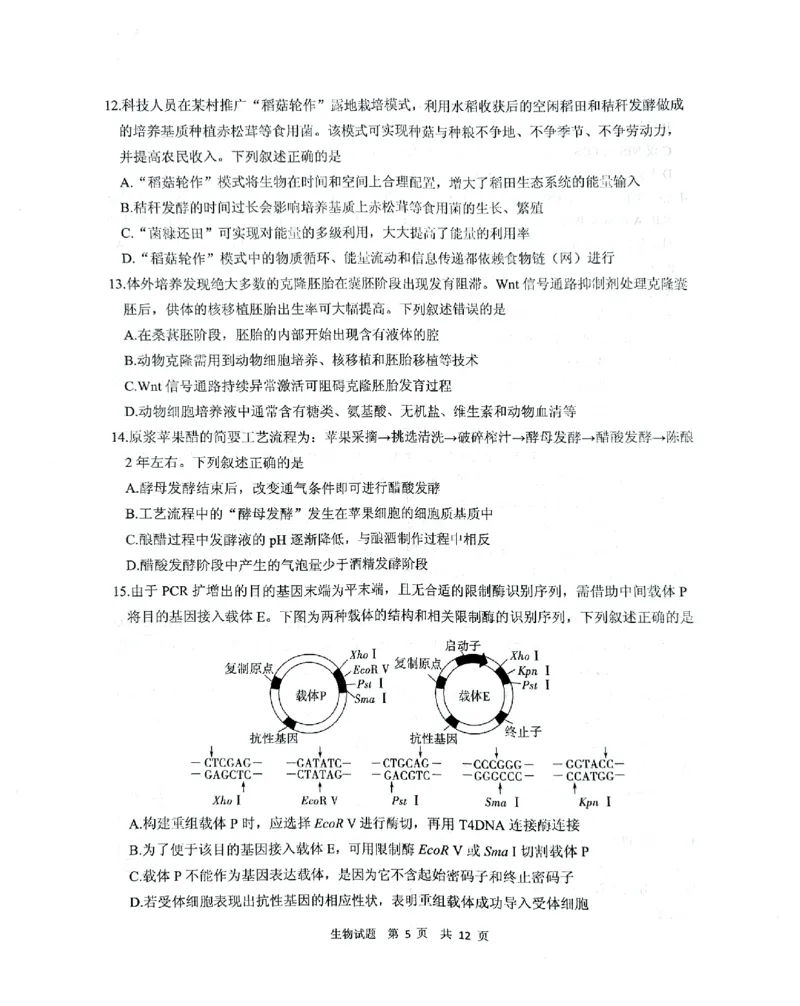 《13_2024山东省实验中学二模（试卷+答案）_2025版教学资源包_（总复习系列）2025版《5年高考3年模拟》新高考版B版（⭐全科）_2025版.新高考新教材版.选考总复习.生物.5·3B版_1_资源拓展》第5页预览