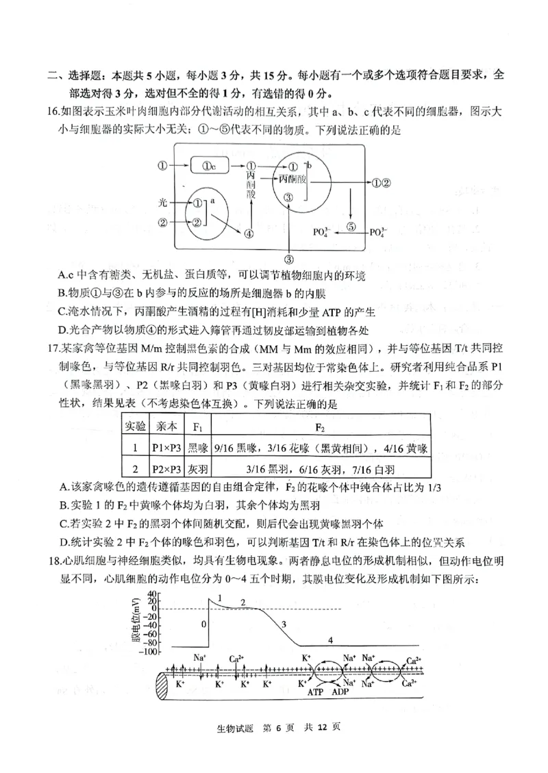 《13_2024山东省实验中学二模（试卷+答案）_2025版教学资源包_（总复习系列）2025版《5年高考3年模拟》新高考版B版（⭐全科）_2025版.新高考新教材版.选考总复习.生物.5·3B版_1_资源拓展》第6页预览