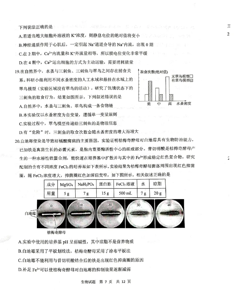《13_2024山东省实验中学二模（试卷+答案）_2025版教学资源包_（总复习系列）2025版《5年高考3年模拟》新高考版B版（⭐全科）_2025版.新高考新教材版.选考总复习.生物.5·3B版_1_资源拓展》第7页预览