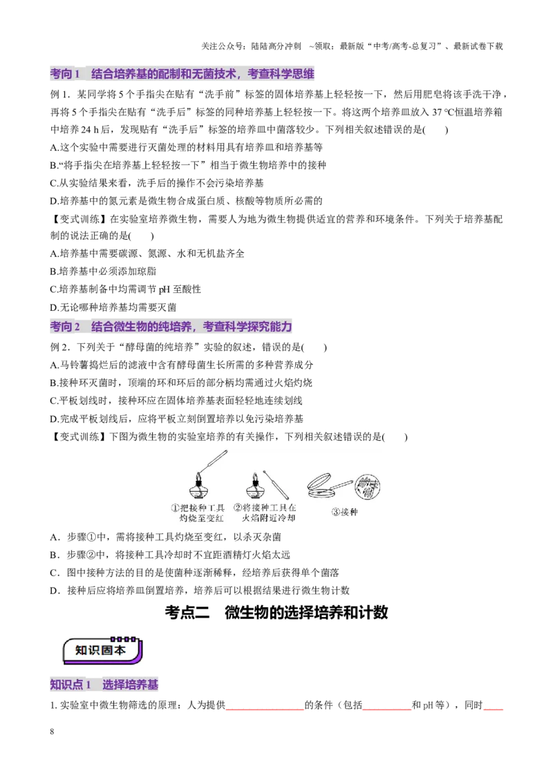 《第38讲微生物的培养技术和应用（讲义）（学生版）_06-生物-高考总复习_一轮复习_2025年_2025年高考生物一轮复习讲义+练习+课件（新教材新高考）_第十单元生物技术与工程》第8页预览