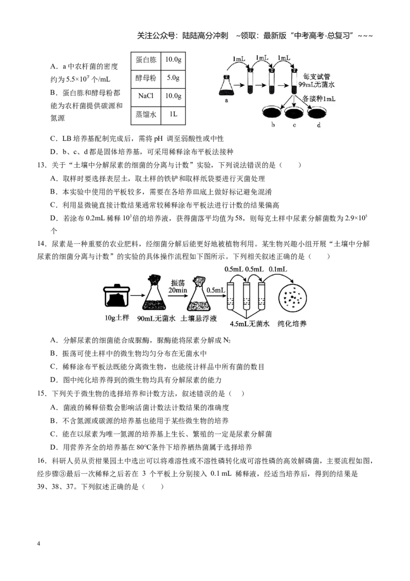 《第38讲微生物的培养技术和应用（专项训练）（四川专用）（学生版）_06-生物-高考总复习_一轮复习_2026年-生物高考一轮复习_2026年高考生物一轮课件+讲义+练习（四川专用）-G335》第4页预览