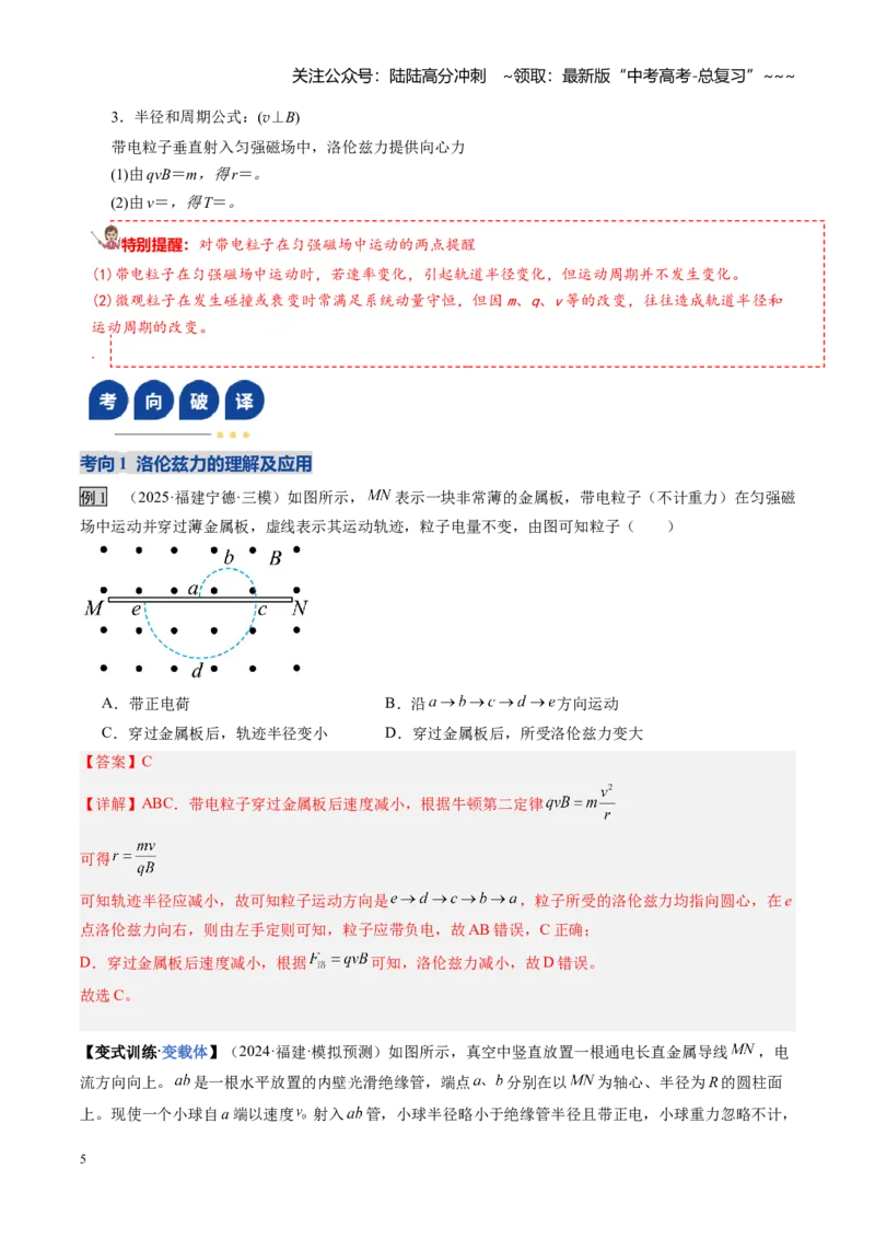 《第38讲洛伦兹力带电粒子在匀强磁场中的运动（复习讲义）（福建专用）（教师版）_04-物理-高考总复习_一轮复习_2026年-物理高考一轮复习》第5页预览