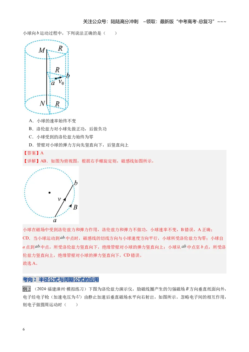 《第38讲洛伦兹力带电粒子在匀强磁场中的运动（复习讲义）（福建专用）（教师版）_04-物理-高考总复习_一轮复习_2026年-物理高考一轮复习》第6页预览