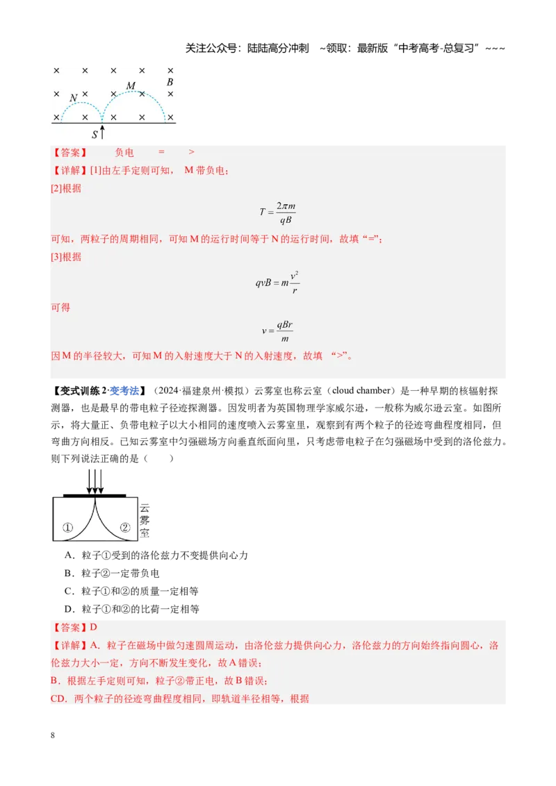 《第38讲洛伦兹力带电粒子在匀强磁场中的运动（复习讲义）（福建专用）（教师版）_04-物理-高考总复习_一轮复习_2026年-物理高考一轮复习》第8页预览