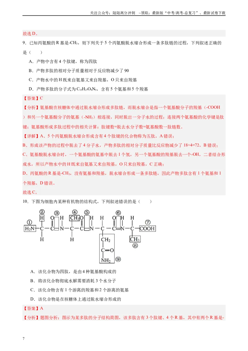 《考点通关卷04蛋白质和核酸（教师版）_06-生物-高考总复习_一轮复习_2025年_2025年高考生物一轮复习考点复习卷（新高考通用）》第7页预览