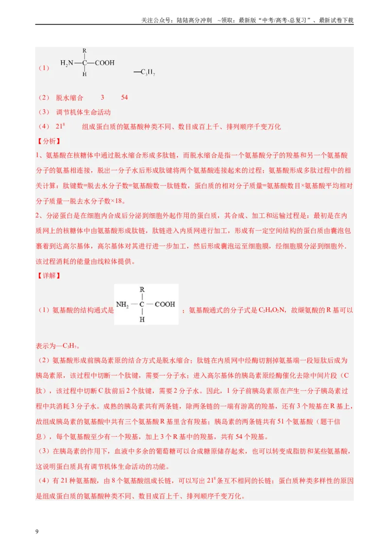 《考点通关卷04蛋白质和核酸（教师版）_06-生物-高考总复习_一轮复习_2025年_2025年高考生物一轮复习考点复习卷（新高考通用）》第9页预览