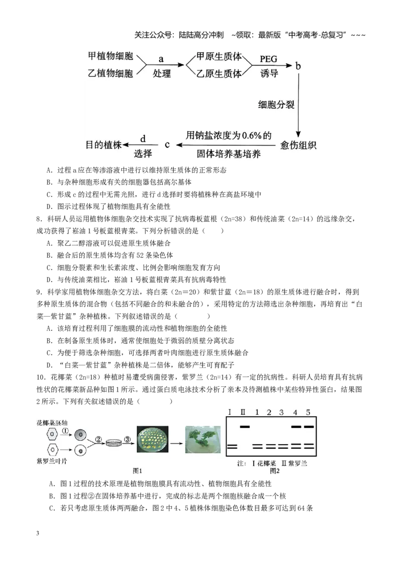 《第39讲植物细胞工程（专项训练）（学生版）_06-生物-高考总复习_一轮复习_2026年-生物高考一轮复习_2026年高考生物一轮复习讲义+练习+课件（新教材新高考）-G55_2026版》第3页预览