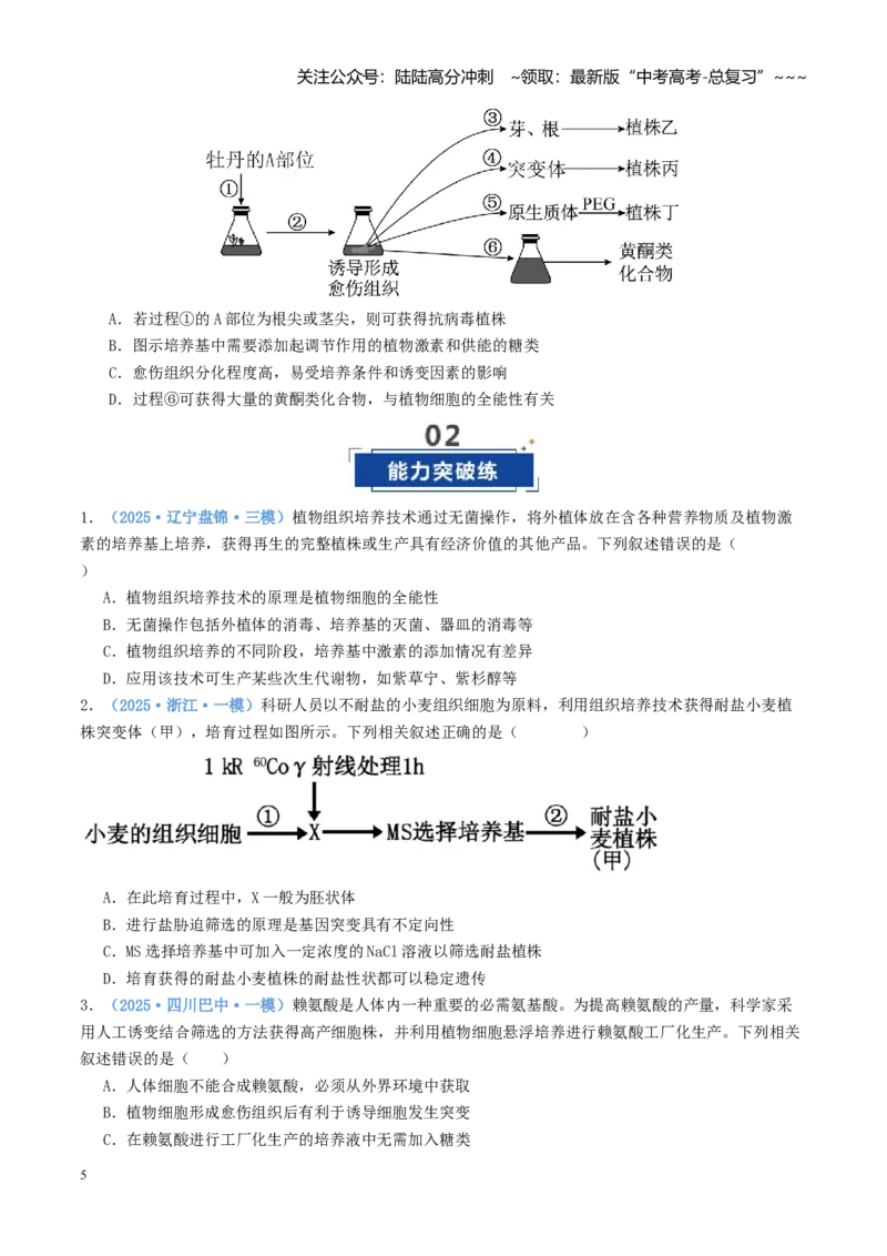《第39讲植物细胞工程（专项训练）（学生版）_06-生物-高考总复习_一轮复习_2026年-生物高考一轮复习_2026年高考生物一轮复习讲义+练习+课件（新教材新高考）-G55_2026版》第5页预览