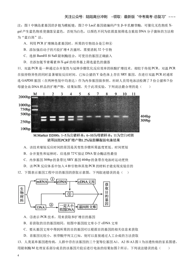 《第39讲基因工程以及生物技术的安全性和伦理问题（专项训练）（黑吉辽蒙专用）（学生版）_06-生物-高考总复习_一轮复习_2026年-生物高考一轮复习》第4页预览