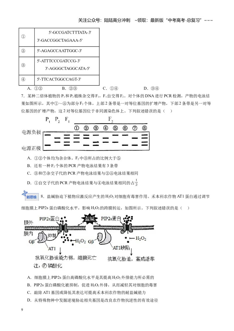 《第39讲基因工程以及生物技术的安全性和伦理问题（专项训练）（黑吉辽蒙专用）（学生版）_06-生物-高考总复习_一轮复习_2026年-生物高考一轮复习》第9页预览