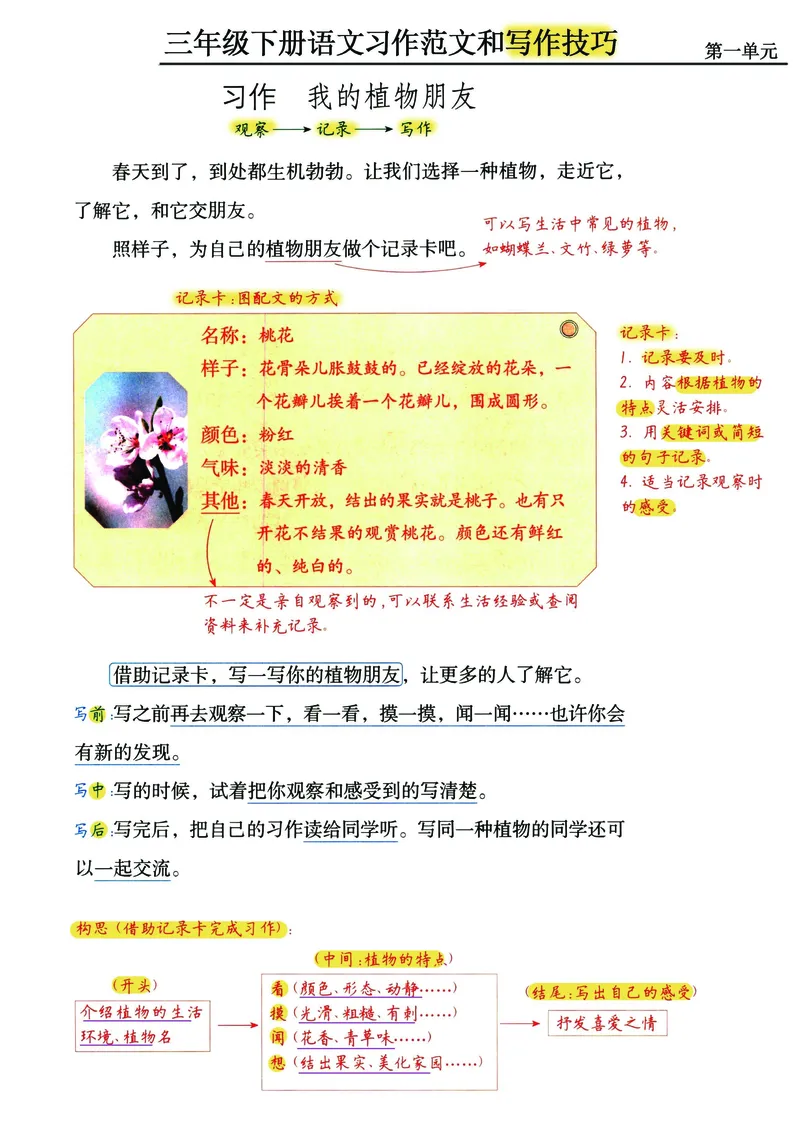 《三年级（下）语文1-8单元《习作范文及技巧点拨》_3年级下册同步教辅_3下-语文_三下语文作文》第1页预览