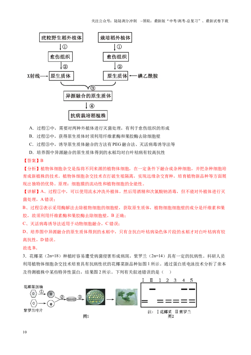 《第39讲植物细胞工程（练习）（教师版）_06-生物-高考总复习_一轮复习_2025年_2025年高考生物一轮复习讲义+练习+课件（新教材新高考）_第十单元生物技术与工程》第10页预览