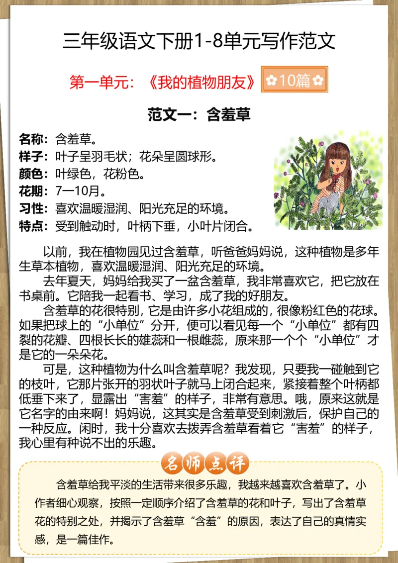 《三年级（下）语文1-8单元习作范文2_3年级下册同步教辅_3下-语文_三下语文作文》第2页预览