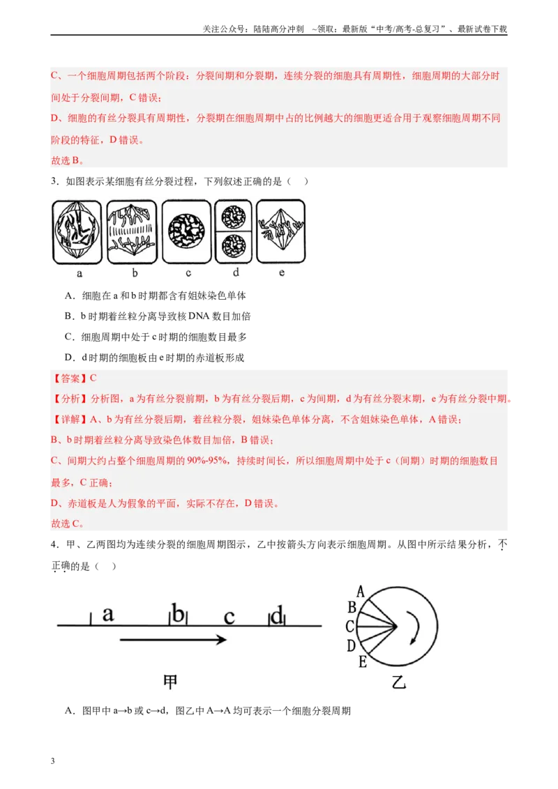 《考点通关卷12细胞增殖（教师版）_06-生物-高考总复习_一轮复习_2025年_2025年高考生物一轮复习考点复习卷（新高考通用）》第3页预览