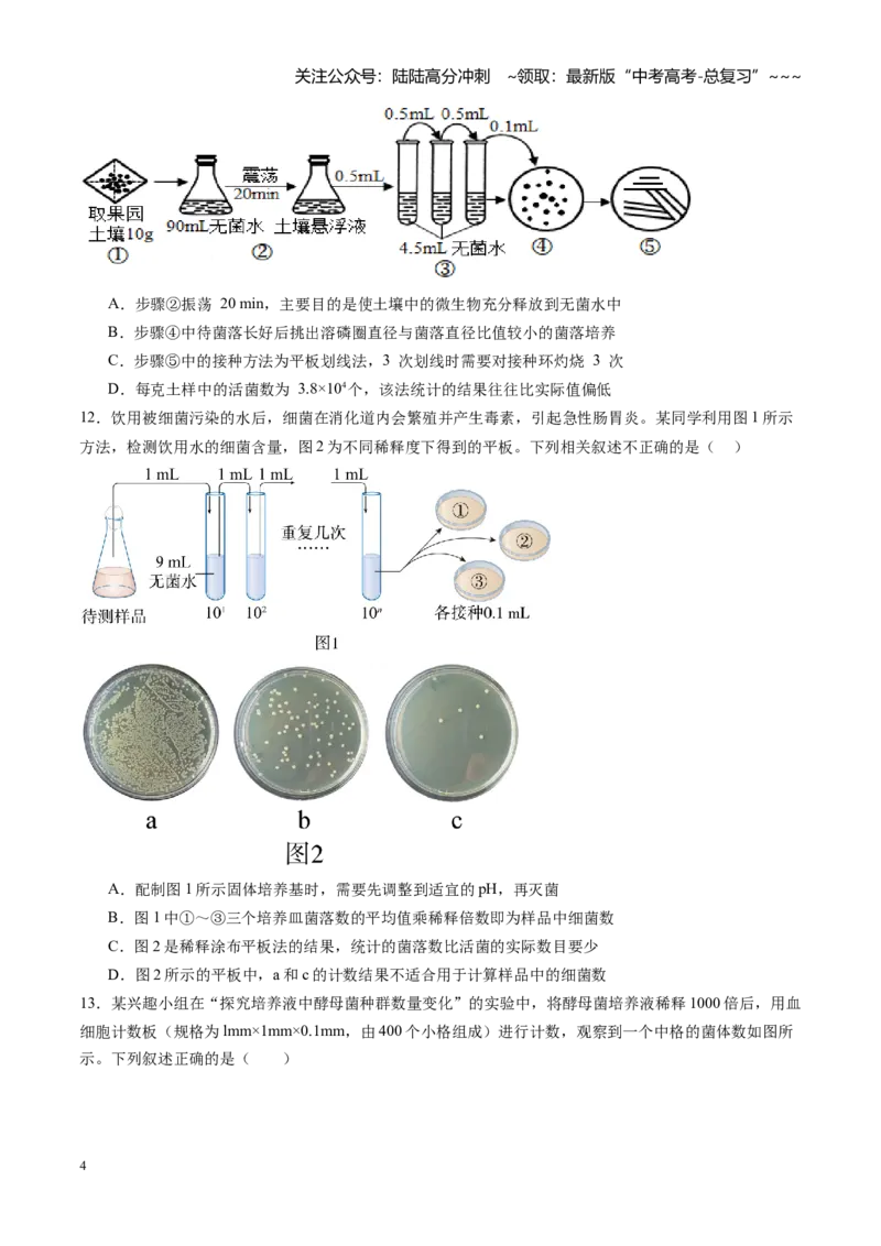 《第35讲微生物的培养技术和应用（专项训练）（黑吉辽蒙专用）（教师版）_06-生物-高考总复习_一轮复习_2026年-生物高考一轮复习_2026年高考生物一轮课件+讲义+练习（黑吉辽蒙专用）-G330》第4页预览