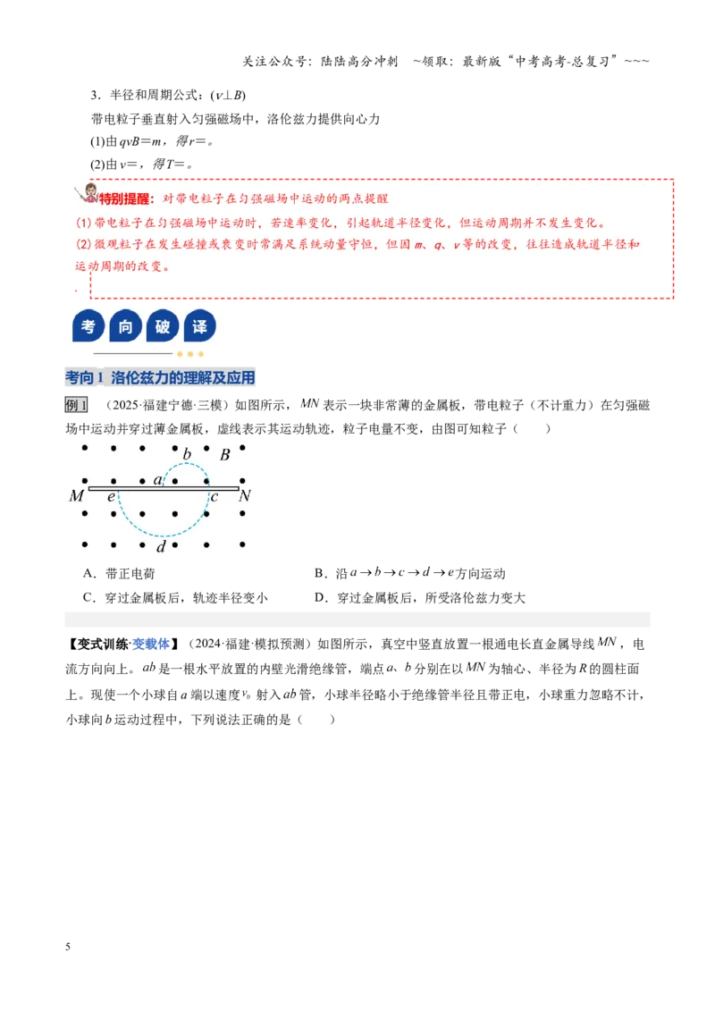 《第38讲洛伦兹力带电粒子在匀强磁场中的运动（复习讲义）（福建专用）（学生版）_04-物理-高考总复习_一轮复习_2026年-物理高考一轮复习》第5页预览