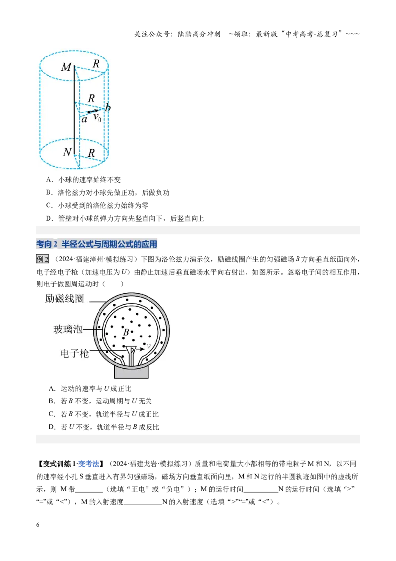 《第38讲洛伦兹力带电粒子在匀强磁场中的运动（复习讲义）（福建专用）（学生版）_04-物理-高考总复习_一轮复习_2026年-物理高考一轮复习》第6页预览