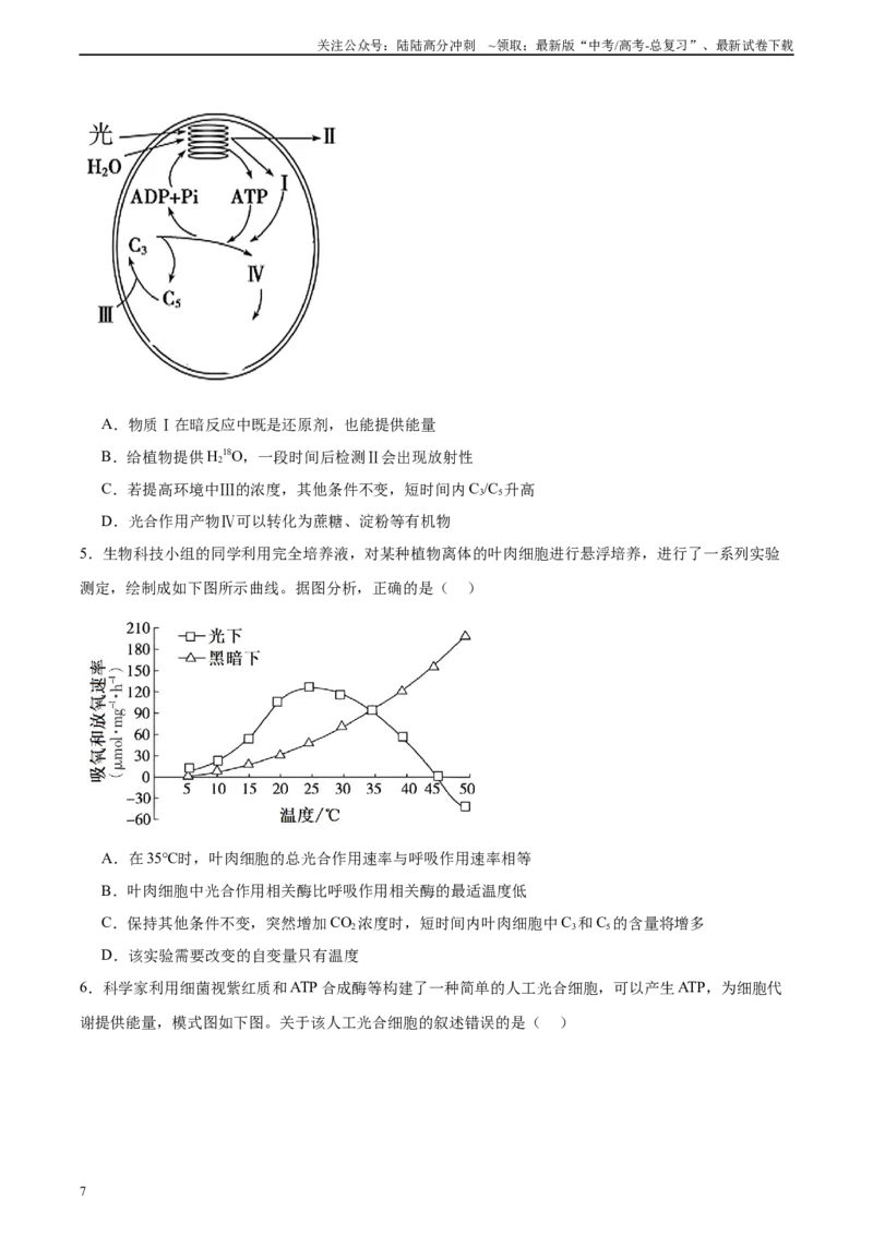 《考点通关卷10光合作用（学生版）_06-生物-高考总复习_一轮复习_2025年_2025年高考生物一轮复习考点复习卷（新高考通用）》第7页预览