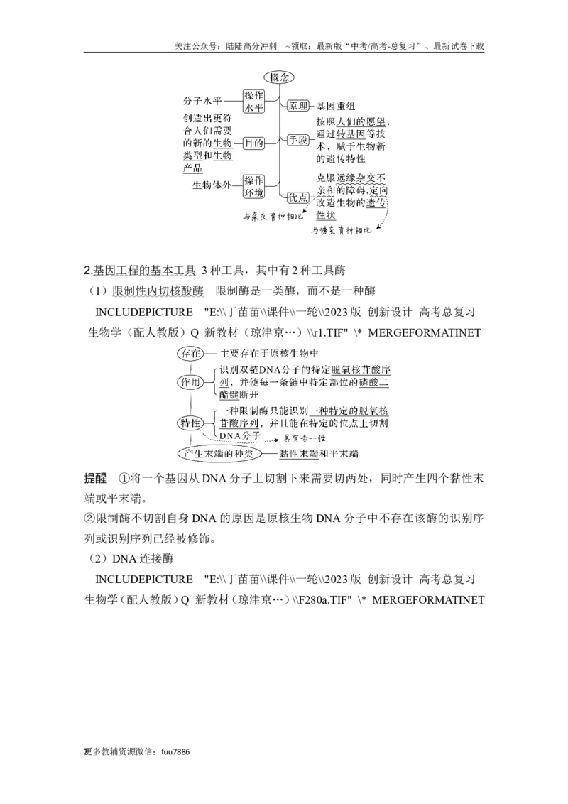 《第35讲基因工程及生物技术的安全性与伦理问题_06-生物-高考总复习_一轮复习_2024年_2024高考生物大一轮复习课件讲义新人教版知识总结_2024年高考生物一轮复习讲义（新人教版）》第2页预览