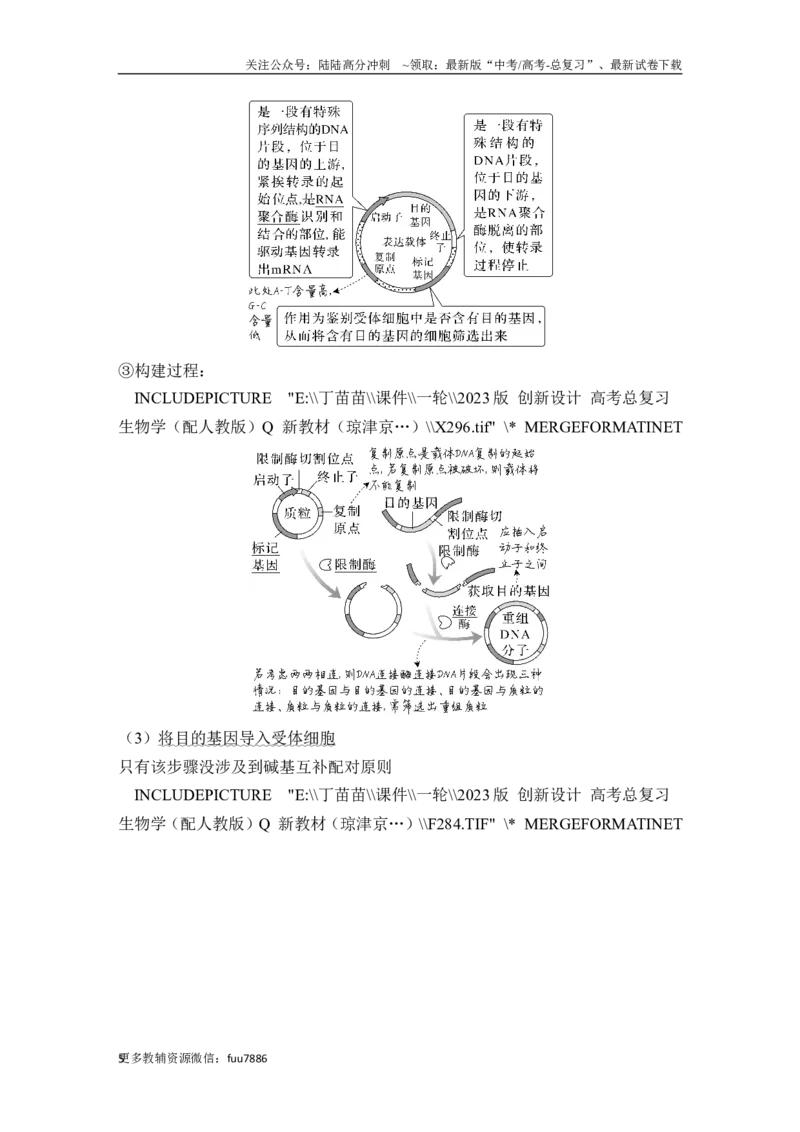 《第35讲基因工程及生物技术的安全性与伦理问题_06-生物-高考总复习_一轮复习_2024年_2024高考生物大一轮复习课件讲义新人教版知识总结_2024年高考生物一轮复习讲义（新人教版）》第5页预览