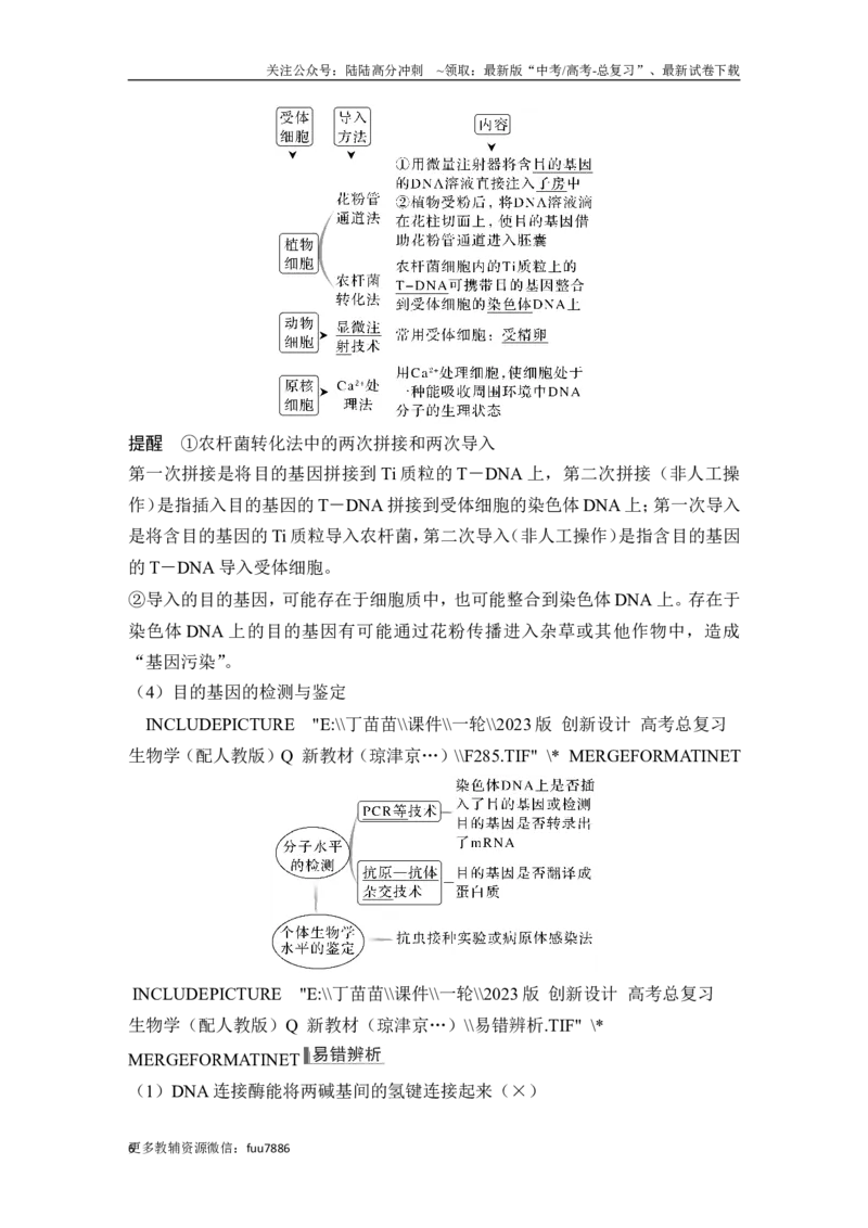 《第35讲基因工程及生物技术的安全性与伦理问题_06-生物-高考总复习_一轮复习_2024年_2024高考生物大一轮复习课件讲义新人教版知识总结_2024年高考生物一轮复习讲义（新人教版）》第6页预览