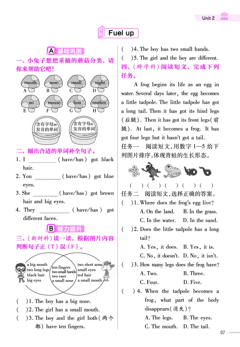 《三年级（下）英语25外研三起-练习帮_3年级下册同步教辅_3下-英语_英语外研版资料》第8页预览