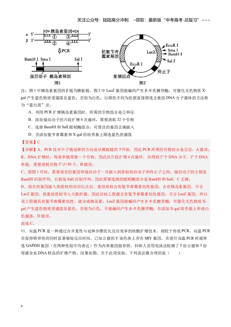 《第39讲基因工程以及生物技术的安全性和伦理问题（专项训练）（黑吉辽蒙专用）（教师版）_06-生物-高考总复习_一轮复习_2026年-生物高考一轮复习》第6页预览