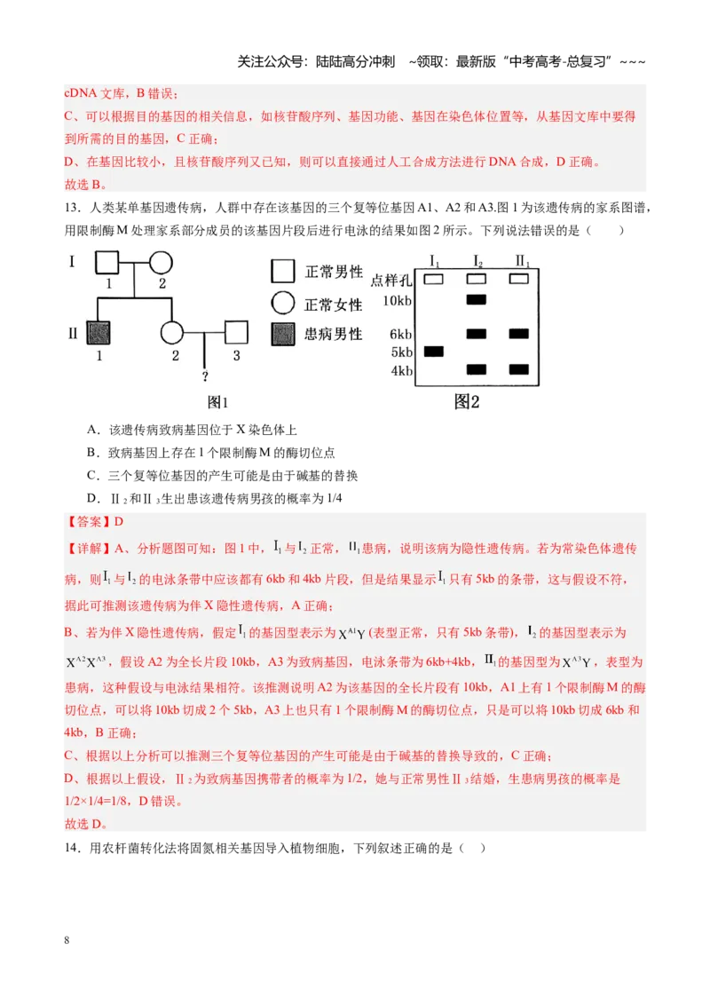《第39讲基因工程以及生物技术的安全性和伦理问题（专项训练）（黑吉辽蒙专用）（教师版）_06-生物-高考总复习_一轮复习_2026年-生物高考一轮复习》第8页预览