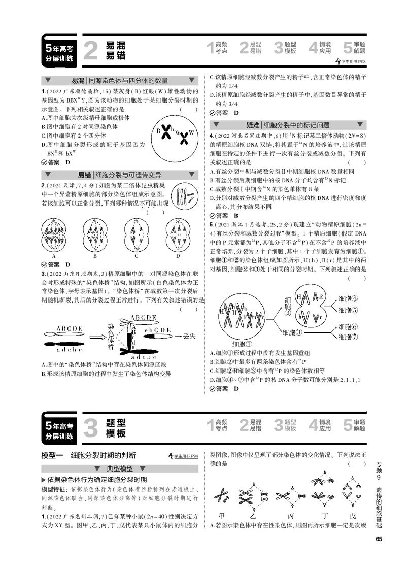 《1_专题9　遗传的细胞基础(PDF版）_2023版教学资源包_2023版新高考新教材版选考总复习生物5·3B版_9_专题九遗传的细胞基础_4_专题电子书》第4页预览