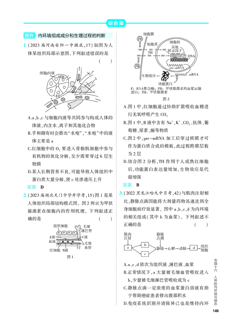 《2_16-专题十六　人体的内环境与稳态（教参电子书—分层集训）_2024版教学资源包_2024版.新高考版生物.5·3A版_16_专题十六人体的内环境与稳态_4_PDF教参电子书》第3页预览