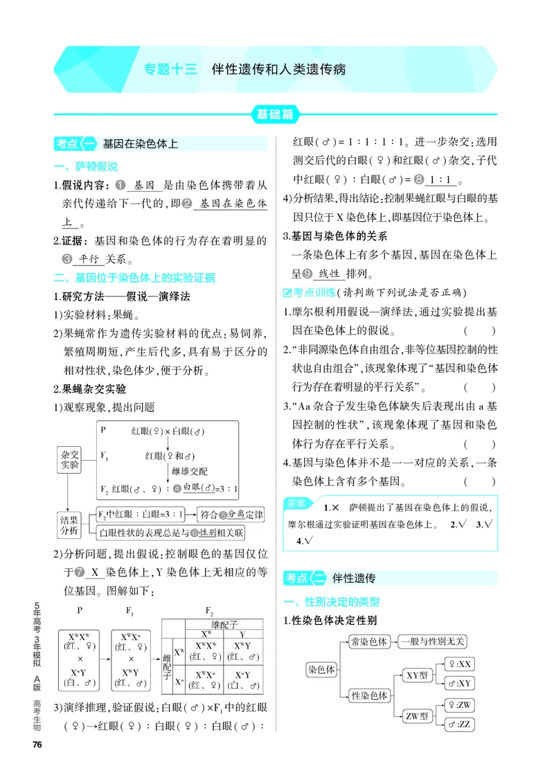 《2_13-专题十三　伴性遗传和人类遗传病（教参电子书—知识讲解）_2024版教学资源包_2024版.新高考版生物.5·3A版_13_专题十三伴性遗传和人类遗传病_4_PDF教参电子书》第1页预览