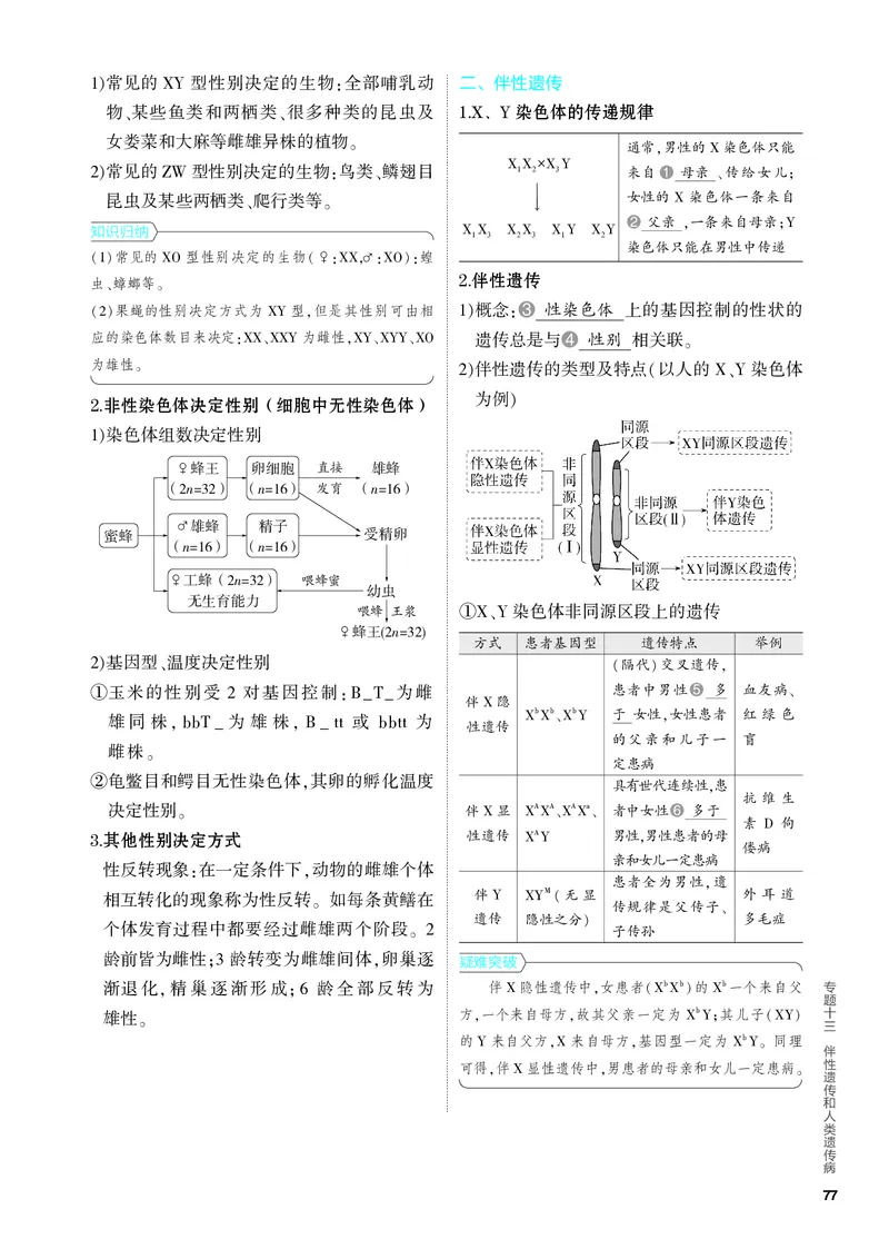 《2_13-专题十三　伴性遗传和人类遗传病（教参电子书—知识讲解）_2024版教学资源包_2024版.新高考版生物.5·3A版_13_专题十三伴性遗传和人类遗传病_4_PDF教参电子书》第2页预览