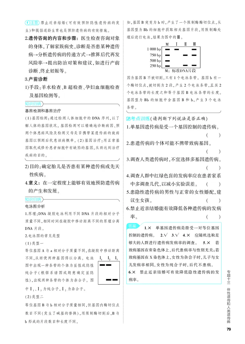 《2_13-专题十三　伴性遗传和人类遗传病（教参电子书—知识讲解）_2024版教学资源包_2024版.新高考版生物.5·3A版_13_专题十三伴性遗传和人类遗传病_4_PDF教参电子书》第4页预览